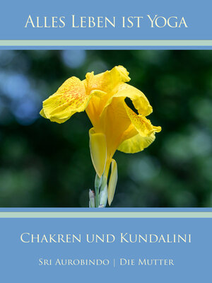 cover image of Chakren und Kundalini